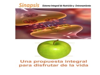Sinapsis Sistema Integral de Nutrición y Entrenamiento
 