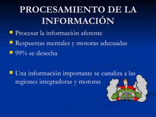 PROCESAMIENTO DE LA INFORMACIÓN Procesar la información aferente Respuestas mentales y motoras adecuadas 99% se desecha Una información importante se canaliza a las regiones integradoras y motoras 