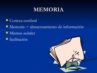 MEMORIA Corteza cerebral Memoria  almacenamiento de información Mismas señales facilitación 