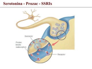 Serotonina - Prozac - SSRIs 