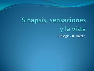 Sinapsis, sensaciones y la vista Biología · III Medio 