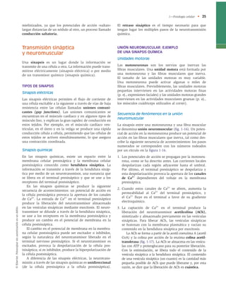 sinapsis y neurotrasmisores.pdf