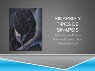 SINAPSIS Y
TIPOS DE
SINAPSIS
Rafael Arreola Franco
Maestro- Cipriano colima
Materia-fisiología
 
