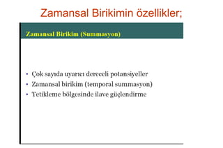 26
Zamansal Birikimin özellikler;
 