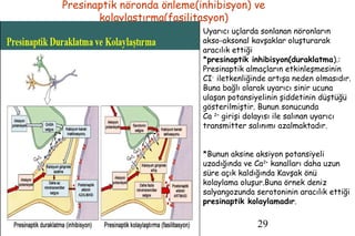 29
Presinaptik nöronda önleme(inhibisyon) ve
kolaylaştırma(fasilitasyon)
Uyarıcı uçlarda sonlanan nöronların
akso-aksonal kavşaklar oluşturarak
aracılık ettiği
*presinaptik inhibisyon(duraklatma).:
Presinaptik almaçların etkinleşmesinin
CI-
iletkenliğinde artışa neden olmasıdır.
Buna bağlı olarak uyarıcı sinir ucuna
ulaşan potansiyelinin şiddetinin düştüğü
gösterilmiştir. Bunun sonucunda
Ca 2+
girişi dolayısı ile salınan uyarıcı
transmitter salınımı azalmaktadır.
*Bunun aksine aksiyon potansiyeli
uzadığında ve Ca2+
kanalları daha uzun
süre açık kaldığında Kavşak önü
kolaylama oluşur.Buna örnek deniz
salyangozunda serotoninin aracılık ettiği
presinaptik kolaylamadır.
 