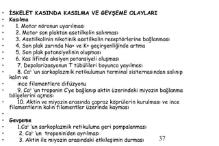 37
• İSKELET KASINDA KASILMA VE GEVŞEME OLAYLARI
• Kasılma
• 1. Motor nöronun uyarılması
• 2. Motor son plaktan asetilkolin salınması
• 3. Asetilkolinin nikotinik asetilkolin reseptörlerine bağlanması
• 4. Son plak zarında Na+ ve K+ geçirgenliğinde artma
• 5. Son plak potansiyelinin oluşması
• 6. Kas lifinde aksiyon potansiyeli oluşması
• 7. Depolarizasyonun T tübülileri boyunca yayılması
• 8. Ca2+
‘un sarkoplazmik retikulumun terminal sisternasından salınıp
kalın ve
• ince filamentlere difüzyonu
• 9. Ca2+
‘un troponin C’ye bağlanıp aktin üzerindeki miyozin bağlanma
bölgelerini açması
• 10. Aktin ve miyozin arasında çapraz köprülerin kurulması ve ince
filamentlerin kalın filamentler üzerinde kayması
•
• Gevşeme
• 1.Ca2+
‘un sarkoplazmik retikuluma geri pompalanması
• 2. Ca2+
‘un troponin’den ayrılması
• 3. Aktin ile miyozin arasındaki etkileşimin durması
 