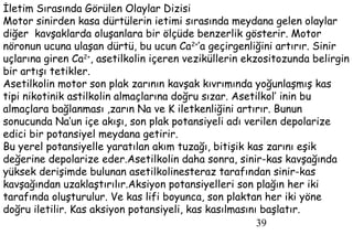 39
İletim Sırasında Görülen Olaylar Dizisi
Motor sinirden kasa dürtülerin ietimi sırasında meydana gelen olaylar
diğer kavşaklarda oluşanlara bir ölçüde benzerlik gösterir. Motor
nöronun ucuna ulaşan dürtü, bu ucun Ca2+
’a geçirgenliğini artırır. Sinir
uçlarına giren Ca2+
, asetilkolin içeren veziküllerin ekzositozunda belirgin
bir artışı tetikler.
Asetilkolin motor son plak zarının kavşak kıvrımında yoğunlaşmış kas
tipi nikotinik astilkolin almaçlarına doğru sızar. Asetilkol’ inin bu
almaçlara bağlanması ,zarın Na ve K iletkenliğini artırır. Bunun
sonucunda Na’un içe akışı, son plak potansiyeli adı verilen depolarize
edici bir potansiyel meydana getirir.
Bu yerel potansiyelle yaratılan akım tuzağı, bitişik kas zarını eşik
değerine depolarize eder.Asetilkolin daha sonra, sinir-kas kavşağında
yüksek derişimde bulunan asetilkolinesteraz tarafından sinir-kas
kavşağından uzaklaştırılır.Aksiyon potansiyelleri son plağın her iki
tarafında oluşturulur. Ve kas lifi boyunca, son plaktan her iki yöne
doğru iletilir. Kas aksiyon potansiyeli, kas kasılmasını başlatır.
 