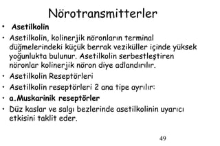 49
Nörotransmitterler
• Asetilkolin
• Asetilkolin, kolinerjik nöronların terminal
düğmelerindeki küçük berrak veziküller içinde yüksek
yoğunlukta bulunur. Asetilkolin serbestleştiren
nöronlar kolinerjik nöron diye adlandırılır.
• Asetilkolin Reseptörleri
• Asetilkolin reseptörleri 2 ana tipe ayrılır:
• a.Muskarinik reseptörler
• Düz kaslar ve salgı bezlerinde asetilkolinin uyarıcı
etkisini taklit eder.
 