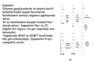 56
Dopamin
Otonom gangliyonlarda ve beynin belirli
bölümlerindeki küçük hücrelerde
katekolamin sentezi dopamin aşamasında
durur.
Ve bu katekolamin kavşak transmitteri
olarak salınır. Dopaminin Na+ ve CI_
bağımlı bir taşıyıcı ile geri kapılması söz
konusudur.
Dopaminde MAO ve KOMT tarafından ,
NA gibi etkinsizleşir. Dopaminin 5 ayrı
reseptörü vardır.
 