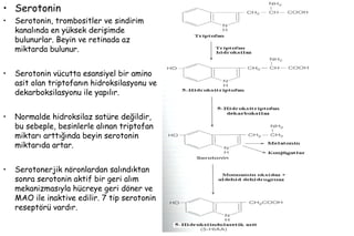 58
• Serotonin
• Serotonin, trombositler ve sindirim
kanalında en yüksek derişimde
bulunurlar. Beyin ve retinada az
miktarda bulunur.
• Serotonin vücutta esansiyel bir amino
asit olan triptofanın hidroksilasyonu ve
dekarboksilasyonu ile yapılır.
• Normalde hidroksilaz satüre değildir,
bu sebeple, besinlerle alınan triptofan
miktarı arttığında beyin serotonin
miktarıda artar.
• Serotonerjik nöronlardan salındıktan
sonra serotonin aktif bir geri alım
mekanizmasıyla hücreye geri döner ve
MAO ile inaktive edilir. 7 tip serotonin
reseptörü vardır.
 