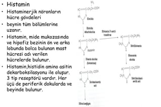 60
• Histamin
• Histaminerjik nöronların
hücre gövdeleri
• beynin tüm bölümlerine
uzanır.
• Histamin, mide mukozasında
ve hipofiz bezinin ön ve arka
lobunda bolca bulunan mast
hücresi adı verilen
hücrelerde bulunur.
• Histamin,histidin amino asitin
dekarboksilasyonu ile oluşur.
3 tip reseptörü vardır. Her
üçü de periferik dokularda ve
beyinde bulunur.
 