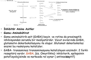 63
• İnhibitör Amino Asitler
• Gama-Aminobütirat
• Gama aminobütirik asit (GABA) beyin ve retina da presinaptik
inhibisyondan sorumlu bir mediyatördür. Vücut sıvılarında GABA,
glutamatın dekarboksilasyonu ile oluşur. Glutamat dekarboksilaz
enzimi bu reaksiyonu katalizler.
• GABA- transaminaz transaminasyonu katalizleyen enzimdir. 2 farklı
reseptörü vardır. GABA, (öz. Omurilikte): inhibitorik, epilepsinin
patofizyolojisinde ve narkozda rol oynar ( antinosiseptif)
 