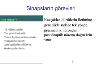 7
Sinapsların görevleri
KavşaklarKavşaklar ,dürtülerin iletimine,dürtülerin iletimine
genellikle sadece tek yönde,genellikle sadece tek yönde,
presinaptik nörondanpresinaptik nörondan
postsinaptik nörona doğru izinpostsinaptik nörona doğru izin
verir.verir.
 