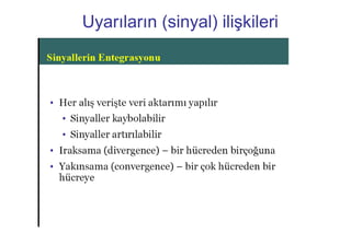 8
Uyarıların (sinyal) ilişkileri
 