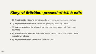 Kimyəvi ötürülmə prosesləri tələb edir:
• 1) Presinaptik hüceyrə terminalında neyrotransmitterlərin sintezi
• 2) Neyrotransmitterlərin sekretor qovuqcuqlarda toplanması
• 3) Neyrotransmitterin sinapti yarığa tənzim olunmuş şəkildə ifraz
olunması
• 4) Postsinaptik membran üzərində neyrotransmitterin birləşməsi üçün
reseptorun olması
• 5) Neyrotransmitter ifrazının terminasiyası
 