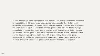 • İkinci kateqoriya olan neyropeptidlərin sintezi isə olduqca mürəkkəb prosesdir.
Neyropeptidlər 3-36 amin turşu uzunluğunda olan maddələrdir. Onlar kiçik
molekullu neyrotransmitterlərdən fərqli olaraq hüceyrə cismində sintez olunur.
Bunların sintezi üçün ilk növbədə müvafiq genetik kod DNT-dən transkripsiya
olunmalıdır. Transkripsiyadan sonra yaranan m-RNT translyasiya üçün ribosoma
gətirilirş. Burada genetik kod amin turşularına tərcümə olunur. Yaranan ilkin
peptid dəyişikliyə uğramaq üçün hamar ER-ə gətirilir, daha sonra golgi
aparatında vezikullarda, qovuqcuqlarda paketlənir. Paketlənmiş mediatorlar
aksonal transport vasitəsilə presinaptik hüceyrə terminalına daşınır.
 