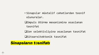 Sinapsların təsnifatı
• Sinapslar müxtəlif cəhətlərdən təsnif
olunuralar.
❑Impuls ötürmə mexanizminə əsaslanan
təsnifat
❑Ion selektivliyinə əsaslanan təsnifat
❑Sitoarxitektonik təsnifat
 