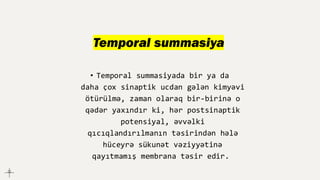 Temporal summasiya
• Temporal summasiyada bir ya da
daha çox sinaptik ucdan gələn kimyəvi
ötürülmə, zaman olaraq bir-birinə o
qədər yaxındır ki, hər postsinaptik
potensiyal, əvvəlki
qıcıqlandırılmanın təsirindən hələ
hüceyrə sükunət vəziyyətinə
qayıtmamış membrana təsir edir.
 