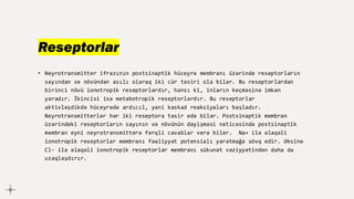 Reseptorlar
• Neyrotransmitter ifrazının postsinaptik hüceyrə membranı üzərində reseptorların
sayından və növündən asılı olaraq iki cür təsiri ola bilər. Bu reseptorlardan
birinci növü ionotropik reseptorlardır, hansı ki, inların keçməsinə imkan
yaradır. İkincisi isə metabotropik reseptorlardır. Bu reseptorlar
aktivləşdikdə hüceyrədə ardıcıl, yəni kaskad reaksiyaları başladır.
Neyrotransmitterlər hər iki reseptora təsir edə bilər. Postsinaptik membran
üzərindəki reseptorların sayının və növünün dəyişməsi nəticəsində postsinaptik
membran eyni neyrotransmitterə fərqli cavablar verə bilər. Na+ ilə əlaqəli
ionotropik reseptorlar membranı fəaliyyət potensialı yaratmağa sövq edir. Əksinə
Cl- ilə əlaqəli ionotropik reseptorlar membranı sükunət vəziyyətindən daha da
uzaqlaşdırır.
 
