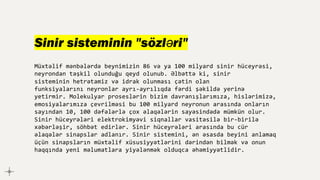 Sinir sisteminin "sözləri"
Müxtəlif mənbələrdə beynimizin 86 və ya 100 milyard sinir hüceyrəsi,
neyrondan təşkil olunduğu qeyd olunub. Əlbəttə ki, sinir
sisteminin hetrətamiz və idrak olunması çətin olan
funksiyalarını neyronlar ayrı-ayrılıqda fərdi şəkildə yerinə
yetirmir. Molekulyar proseslərin bizim davranışlarımıza, hislərimizə,
emosiyalarımıza çevrilməsi bu 100 milyard neyronun arasında onların
sayından 10, 100 dəfələrlə çox əlaqələrin sayəsindədə mümkün olur.
Sinir hüceyrələri elektrokimyəvi siqnallar vasitəsilə bir-birilə
xəbərləşir, söhbət edirlər. Sinir hüceyrələri arasında bu cür
əlaqələr sinapslar adlanır. Sinir sistemini, ən əsasda beyini anlamaq
üçün sinapsların müxtəlif xüsusiyyətlərini dərindən bilmək və onun
haqqında yeni məlumatlara yiyələnmək olduqca əhəmiyyətlidir.
 