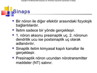 Copyright © The McGraw-Hill Companies, Inc. Permission required for reproduction or display.
Sinaps
 Bir nöron ile diğer efektör arasındaki fizyolojik
bağlantılardır.
 İletim sadece bir yönde gerçekleşir.
 1. nöron aksonu presinaptik uç, 2. nöronun
dendritik ucu ise postsinaptik uç olarak
adlandırılır.
 Sinaptik iletim kimyasal kapılı kanallar ile
gerçekleşir.
 Presinaptik nöron ucundan nörotransmitter
maddeler (NT) salınır.
 
