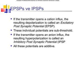 Copyright © The McGraw-Hill Companies, Inc. Permission required for reproduction or display.
EPSPs ve IPSPs
 If the transmitter opens a cation influx, the
resulting depolarization is called an Excitatory
Post Synaptic Potential (EPSP).
 These individual potentials are sub-threshold.
 If the transmitter opens an anion influx, the
resulting hyperpolarization is called an
Inhibitory Post Synaptic Potential (IPSP
 All these potentials are additive.
 