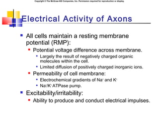 Copyright © The McGraw-Hill Companies, Inc. Permission required for reproduction or display.
Electrical Activity of Axons
 All cells maintain a resting membrane
potential (RMP):
 Potential voltage difference across membrane.

Largely the result of negatively charged organic
molecules within the cell.

Limited diffusion of positively charged inorganic ions.
 Permeability of cell membrane:

Electrochemical gradients of Na+
and K+.

Na+
/K+
ATPase pump.
 Excitability/irritability:
 Ability to produce and conduct electrical impulses.
 