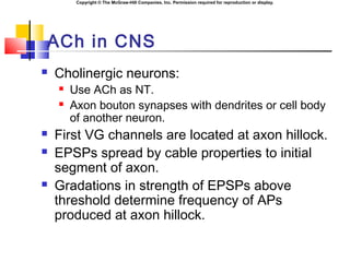 Copyright © The McGraw-Hill Companies, Inc. Permission required for reproduction or display.
ACh in CNS
 Cholinergic neurons:
 Use ACh as NT.
 Axon bouton synapses with dendrites or cell body
of another neuron.
 First VG channels are located at axon hillock.
 EPSPs spread by cable properties to initial
segment of axon.
 Gradations in strength of EPSPs above
threshold determine frequency of APs
produced at axon hillock.
 