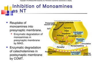 Copyright © The McGraw-Hill Companies, Inc. Permission required for reproduction or display.
Inhibition of Monoamines
as NT
 Reuptake of
monoamines into
presynaptic membrane.
 Enzymatic degradation of
monoamines in
presynaptic membrane
by MAO.
 Enzymatic degradation
of catecholamines in
postsynaptic membrane
by COMT.
 