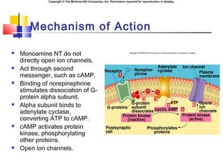 Copyright © The McGraw-Hill Companies, Inc. Permission required for reproduction or display.
Mechanism of Action
 Monoamine NT do not
directly open ion channels.
 Act through second
messenger, such as cAMP.
 Binding of norepinephrine
stimulates dissociation of G-
protein alpha subunit.
 Alpha subunit binds to
adenylate cyclase,
converting ATP to cAMP.
 cAMP activates protein
kinase, phosphorylating
other proteins.
 Open ion channels.
 