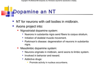 Copyright © The McGraw-Hill Companies, Inc. Permission required for reproduction or display.
Dopamine an NT
 NT for neurons with cell bodies in midbrain.
 Axons project into:
 Nigrostriatal dopamine system:

Nuerons in substantia nigra send fibers to corpus straitum.

Initiation of skeletal muscle movement.

Parkinson’s disease: degeneration of neurons in substantia
nigra.
 Mesolimbic dopamine system:

Neurons originate in midbrain, send axons to limbic system.

Involved in behavior and reward.

Addictive drugs:
 Promote activity in nucleus accumbens.
 