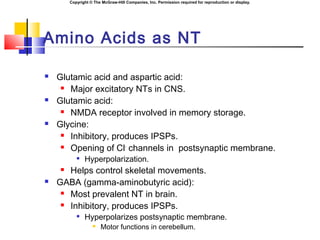 Copyright © The McGraw-Hill Companies, Inc. Permission required for reproduction or display.
Amino Acids as NT
 Glutamic acid and aspartic acid:
 Major excitatory NTs in CNS.
 Glutamic acid:
 NMDA receptor involved in memory storage.
 Glycine:
 Inhibitory, produces IPSPs.
 Opening of Cl-
channels in postsynaptic membrane.

Hyperpolarization.
 Helps control skeletal movements.
 GABA (gamma-aminobutyric acid):
 Most prevalent NT in brain.
 Inhibitory, produces IPSPs.

Hyperpolarizes postsynaptic membrane.
 Motor functions in cerebellum.
 