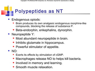 Copyright © The McGraw-Hill Companies, Inc. Permission required for reproduction or display.
Polypeptides as NT
 Endogenous opiods:
 Brain produces its own analgesic endogenous morphine-like
compounds, blocking the release of substance P.
 Beta-endorphin, enkephalins, dynorphin.
 Neuropeptide Y:
 Most abundant neuropeptide in brain.
 Inhibits glutamate in hippocampus.
 Powerful stimulator of appetite.
 NO:
 Exerts its effects by stimulation of cGMP.
 Macrophages release NO to helps kill bacteria.
 Involved in memory and learning.
 Smooth muscle relaxation.
 
