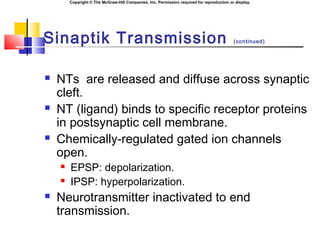 Copyright © The McGraw-Hill Companies, Inc. Permission required for reproduction or display.
Sinaptik Transmission (continued)
 NTs are released and diffuse across synaptic
cleft.
 NT (ligand) binds to specific receptor proteins
in postsynaptic cell membrane.
 Chemically-regulated gated ion channels
open.
 EPSP: depolarization.
 IPSP: hyperpolarization.
 Neurotransmitter inactivated to end
transmission.
 