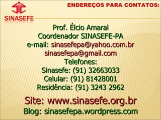 Prof. Élcio Amaral Coordenador SINASEFE-PA e-mail:  [email_address] [email_address] Telefones: Sinasefe: (91) 32663033 Celular: (91) 81428001 Residência: (91) 3243 2962 Site: www.sinasefe.org.br Blog: sinasefepa.wordpress.com ENDEREÇOS PARA CONTATOS: 