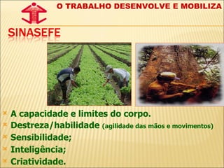 A capacidade e limites do corpo. Destreza/habilidade  (agilidade das mãos e movimentos)  Sensibilidade; Inteligência; Criatividade. O TRABALHO DESENVOLVE E MOBILIZA 