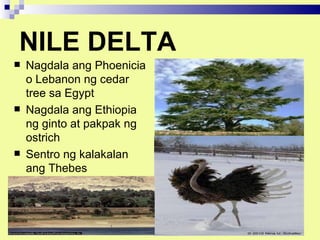 NILE DELTA
   Nagdala ang Phoenicia
    o Lebanon ng cedar
    tree sa Egypt
   Nagdala ang Ethiopia
    ng ginto at pakpak ng
    ostrich
   Sentro ng kalakalan
    ang Thebes
 
