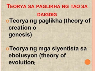 TEORYA SA PAGLIKHA NG TAO SA
DAIGDIG
Teorya ng paglikha (theory of
creation o
genesis)
Teorya ng mga siyentista sa
ebolusyon (theory of
evolution)
 