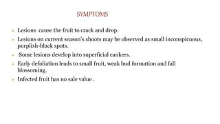 SYMPTOMS
 Lesions cause the fruit to crack and drop.
 Lesions on current season's shoots may be observed as small inconspicuous,
purplish-black spots.
 Some lesions develop into superficial cankers.
 Early defoliation leads to small fruit, weak bud formation and fall
blossoming.
 Infected fruit has no sale value .
 