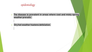 epidemiology
 The disease is prevalent in areas where cool and misty spring
weather prevails .
 Dry hot weather hastens defoliation.
 