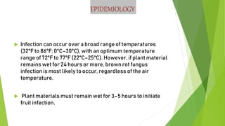 EPIDEMIOLOGY
 Infection can occur over a broad range of temperatures
(32°F to 86°F; 0°C–30°C), with an optimum temperature
range of 72°F to 77°F (22°C–25°C). However, if plant material
remains wet for 24 hours or more, brown rot fungus
infection is most likely to occur, regardless of the air
temperature.
 Plant materials must remain wet for 3–5 hours to initiate
fruit infection.
 