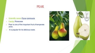  Scientific name: Pyrus communis
 Family: Rosaceae
 Pear is one of the important fruit of temperate
zone.
 It is popular for its delicious taste.
PEAR
 