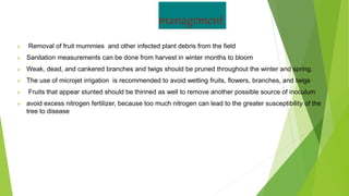 management
 Removal of fruit mummies and other infected plant debris from the field
 Sanitation measurements can be done from harvest in winter months to bloom
 Weak, dead, and cankered branches and twigs should be pruned throughout the winter and spring.
 The use of microjet irrigation is recommended to avoid wetting fruits, flowers, branches, and twigs
 Fruits that appear stunted should be thinned as well to remove another possible source of inoculum
 avoid excess nitrogen fertilizer, because too much nitrogen can lead to the greater susceptibility of the
tree to disease
 