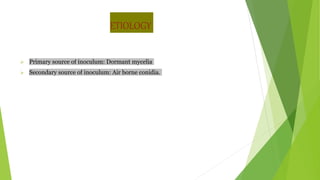 ETIOLOGY
 Primary source of inoculum: Dormant mycelia
 Secondary source of inoculum: Air borne conidia.
 