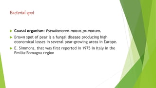 Bacterial spot
 Causal organism: Pseudomonas morus-prunorum.
 Brown spot of pear is a fungal disease producing high
economical losses in several pear-growing areas in Europe.
 E. Simmons, that was first reported in 1975 in Italy in the
Emilia-Romagna region
 