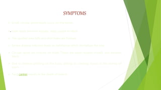 SYMPTOMS
.
 Small, circular green spots occur on the leaves.
 Later spots become angular, deep purple to black.
 The spotted area falls and shot holes are formed.
 Severe disease infection leads to defoliation which devitalizes the tree.
 Circular spots are noticed on fruits. These are water-soaked initially and become
black.
 Due to intense spotting on the fruits, pitting or cracking occurs in the vicinity of
spots.
 Twig canker results in the death of branch.
 