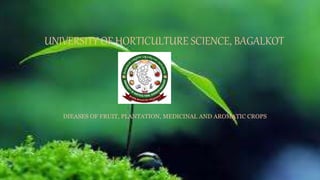 UNIVERSITY OF HORTICULTURE SCIENCE, BAGALKOT
DIEASES OF FRUIT, PLANTATION, MEDICINAL AND AROMATIC CROPS
 