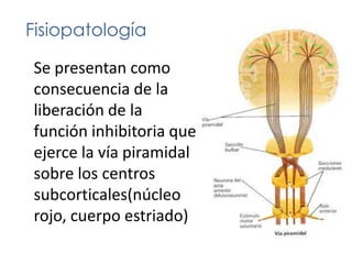 Sería como una dificultad para individualizar/disociar/coordinar el movimiento. 