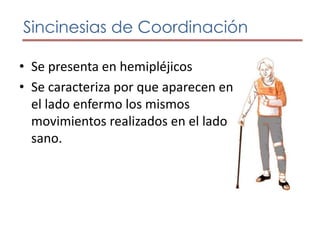 Sincinesias de Imitación Son movimientos contralaterales simétricos e idénticos, de tal forma que el miembro enfermo imita al miembro sano. Sincinesias GlobalEs la contracción de todos los músculos del lado hemipléjico, que sobreviene a un esfuerzo, sea voluntario o inconsciente. Sincinesias de Coordinación Se presenta en hemipléjicos Se caracteriza por que aparecen en el lado enfermo los mismos movimientos realizados en el lado sano.