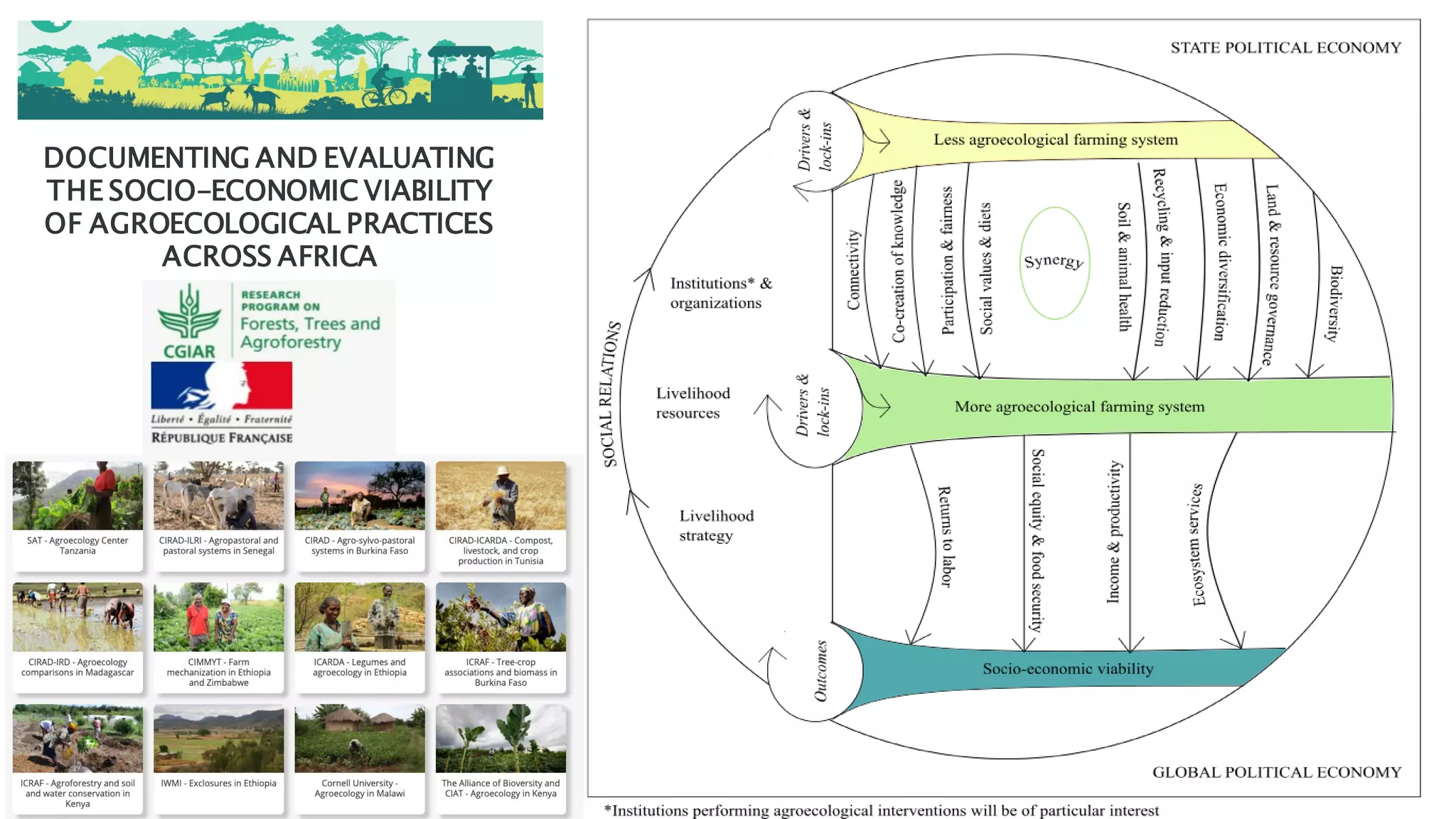 DOCUMENTING AND EVALUATING
THE SOCIO-ECONOMIC VIABILITY
OF AGROECOLOGICAL PRACTICES
ACROSS AFRICA
 